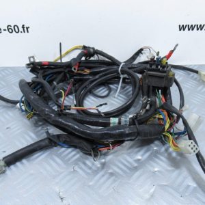 Faisceau electrique Aprilia Scarabeo 125