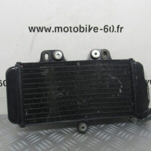 Radiateur eau Yamaha TDR 125