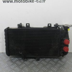 Radiateur eau BMW F 650 GS 4t (7678284)