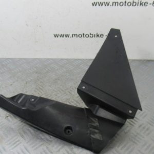 Cache Kawasaki Z 1000 4t Ph3 (55028-0351)