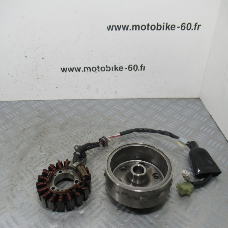 Rotor Stator Yamaha Xmax 250 4t Ph2