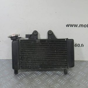 Radiateur eau Honda Shadow 125 4t