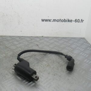 Bobine allumage Suzuki Burgman 125 4t