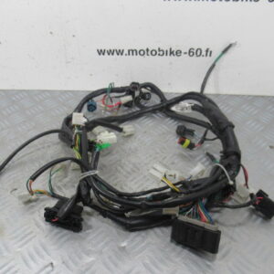 Faisceau electrique Peugeot Kisbee 50 4t Ph2 (2003427100)