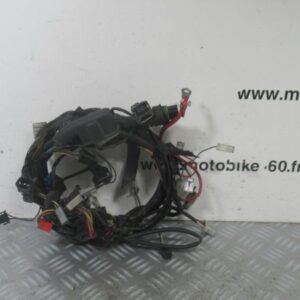 Faisceau electrique Vespa LX 50 2t (641601) (642866)