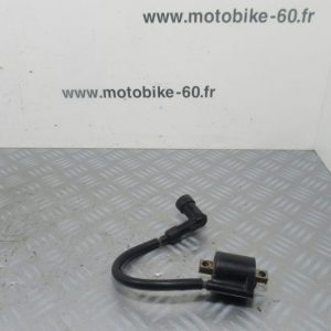 Bobine allumage Yamaha Piwi 80 2t (Adaptable)