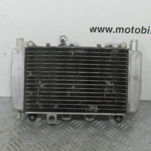 Radiateur eau Piaggio X10 125 4t