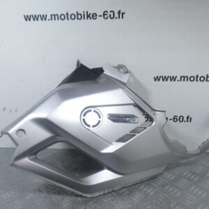 Protege moteur gauche Honda Forza 750 4t (64671-MKV-D000)