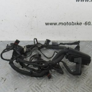 Faisceau moteur BMW F 650 GS 4t (7705427)