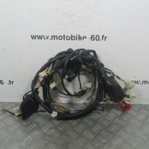 Faisceau electrique Lintex QT 50 2t
