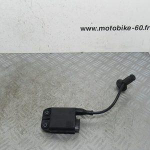 Bobine allumage CDI Piaggio NRG Power 50 2t