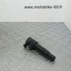 Bobine crayon BMW F 650 CS 4t