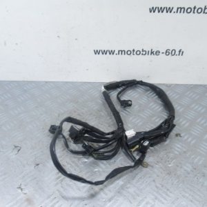 Faisceau moteur Honda PCX 125 4t Ph2 (12104-K35-V000)