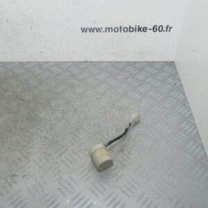 Relais Yiying Wallabi 50 4t