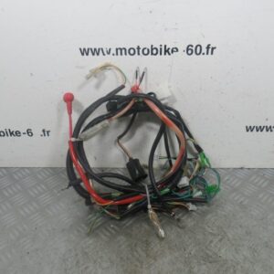Faisceau electrique Yiying Wallabi 50 4t