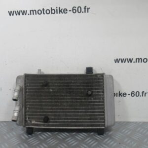 Radiateur eau Yamaha Xmax 125 4t Ph3 (65066)