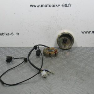 Rotor Stator JM Motors Oldies 50 4t
