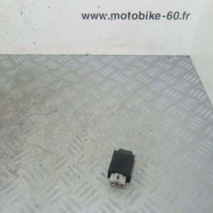 Regulateur tension Zhejiang Rixa 50 4T