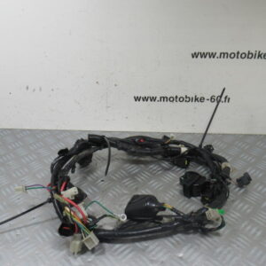 Faisceau electrique Peugeot Tweet 125 4t