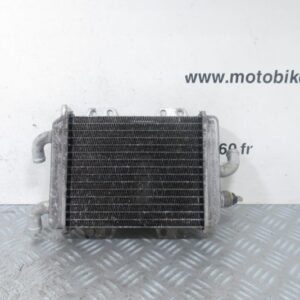 Radiateur eau Peugeot Elyseo 125 4t