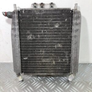 Radiateur Piaggio X8 125 4T 2006