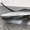 Clignotant avant droit (retroviseur) Piaggio X9 125 4T 2005 – Image 2
