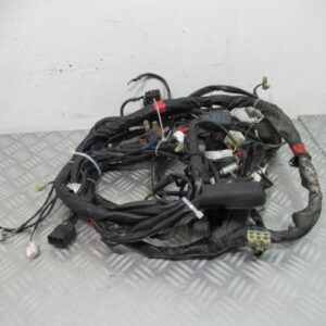 Faisceau électrique GILERA 125 NEXUS – 2007 –