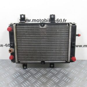 Radiateur eau Sym GTS 250 i