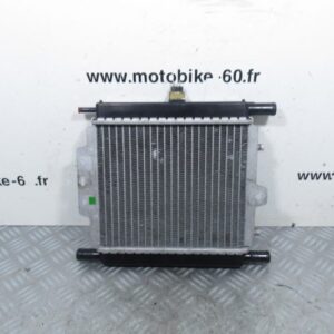 Radiateur eau Peugeot Satelis 125 (ref:1176717280)