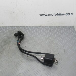 Bobine allumage 2/3 Yamaha XJ 600 Diversion 4t