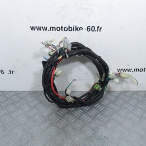 Faisceau electrique Znen ZN QT 50