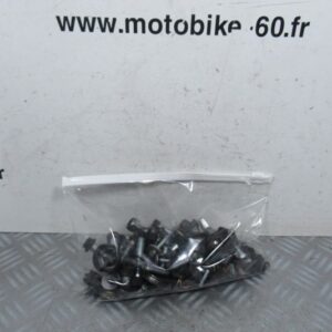 Visserie cycle Piaggio X evo 125