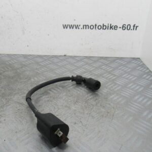 Bobine allumage Suzuki Burgman 125 4t