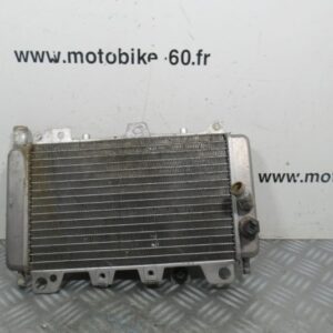 Radiateur eau Piaggio Beverly 125 4t