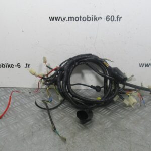 Faisceau electrique Znen QT 50 4t