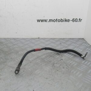 Cable masse + Honda Hornet CBF 600 4t