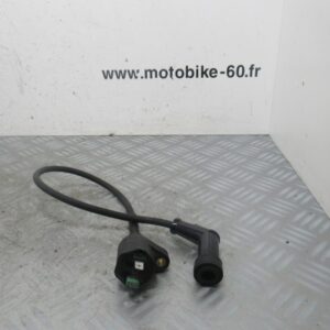 Bobine allumage Aprilia Atlantic 125 4t