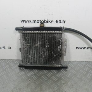 Radiateur eau Peugeot Satelis 125 4t