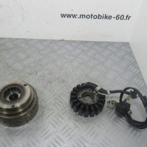 Rotor Stator Honda Pantheon 125 4t