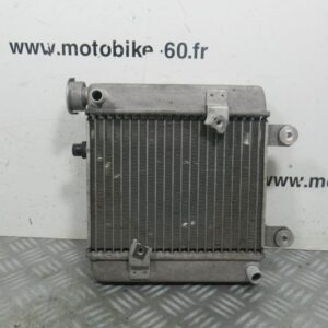 Radiateur eau Honda Pantheon 125 4t