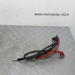 Cable batterie Honda Pantheon 125 4t
