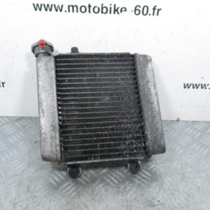 Radiateur eau Honda Pantheon FES 125 cc