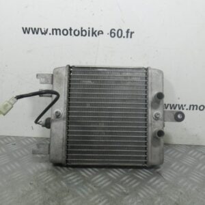 Radiateur eau Suzuki Burgman 125 4t