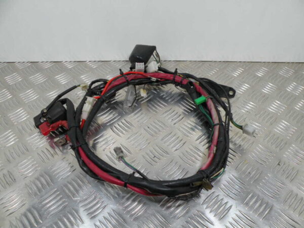 Faisceau Électrique PEUGEOT 125CC TWEET 4T -2011-