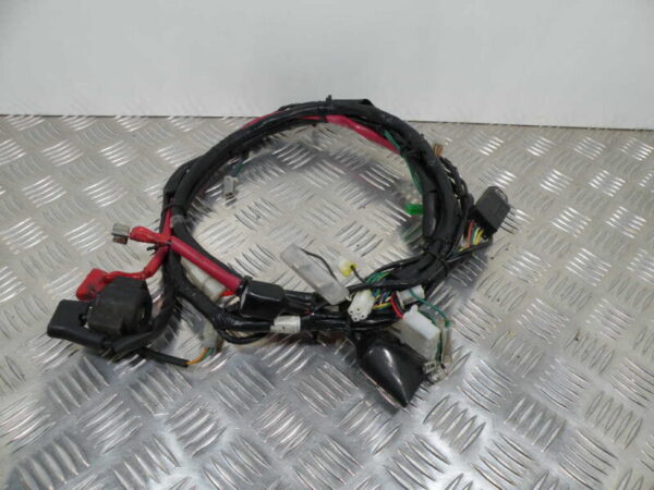 Faisceau Électrique PEUGEOT 125CC TWEET 4T -2011-