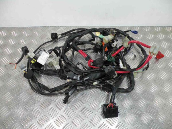 Faisceau Électrique YAMAHA TMAX 500 4T -2009-