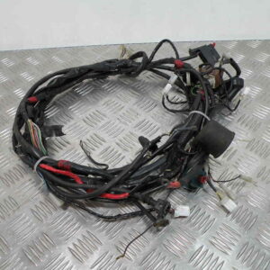 Faisceau electrique GILERA RUNNER 50 2T -2006-