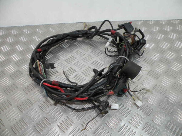 Faisceau electrique GILERA RUNNER 50 2T -2006-