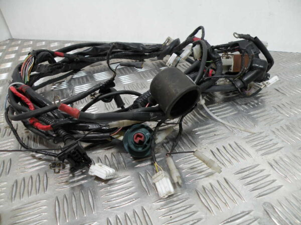 Faisceau electrique GILERA RUNNER 50 2T -2006-