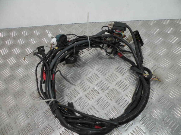 Faisceau electrique GILERA RUNNER 50 2T -2006-